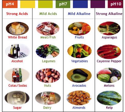 raw protein amazon